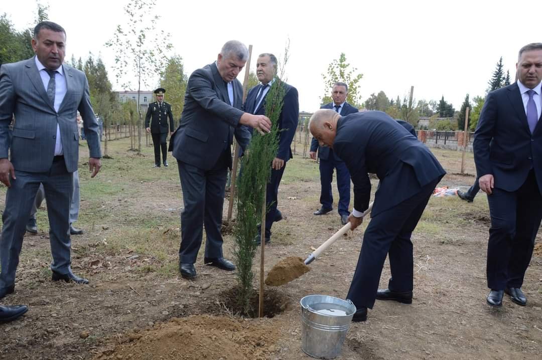 Masallıda Anım Gününə həsr olunan ağacəkmə aksiyası olub - FOTO